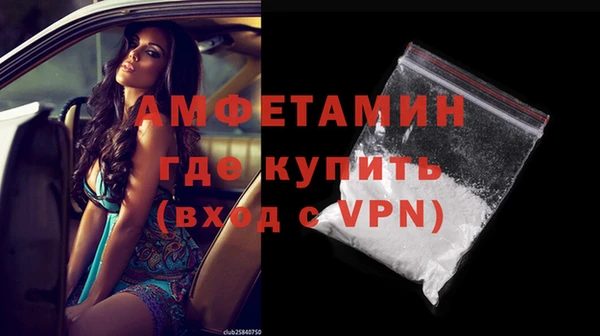 эйфоретик Гусь-Хрустальный