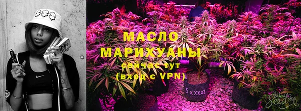 прущие грибы Гусиноозёрск