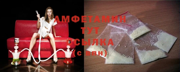 эйфоретик Гусь-Хрустальный