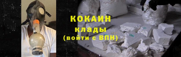 эйфоретик Гусь-Хрустальный