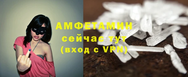 прущие грибы Гусиноозёрск