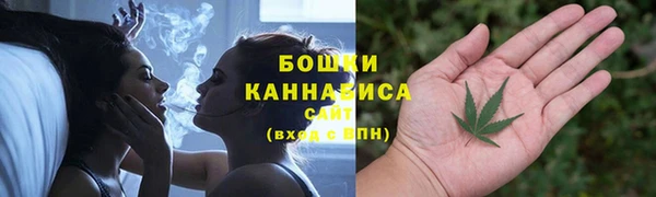 прущие грибы Гусиноозёрск