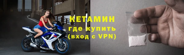 прущие грибы Гусиноозёрск