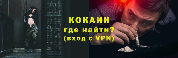 спайс Гусев