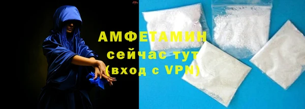 эйфоретик Гусь-Хрустальный