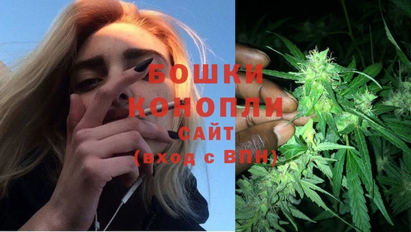 спайс Гусев