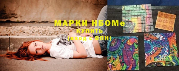 прущие грибы Гусиноозёрск