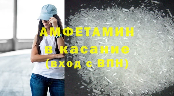 прущие грибы Гусиноозёрск