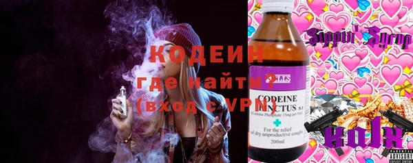эйфоретик Гусь-Хрустальный