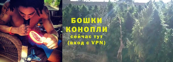 эйфоретик Гусь-Хрустальный