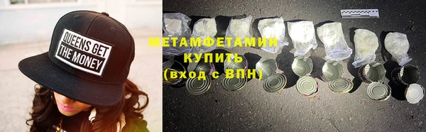 прущие грибы Гусиноозёрск