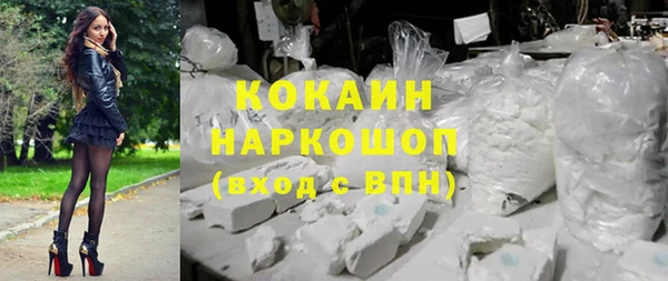 прущие грибы Гусиноозёрск